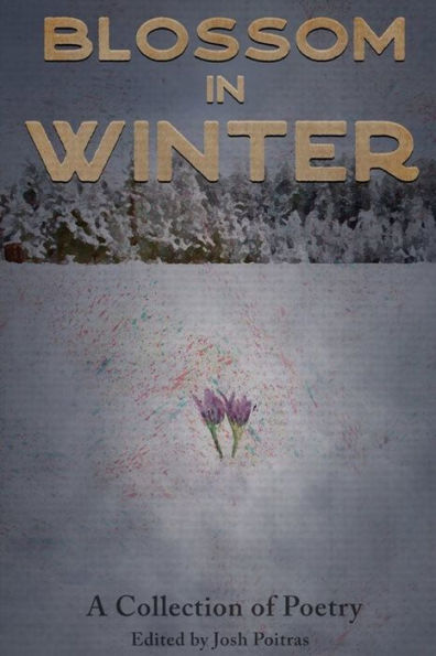 Blossom In Winter