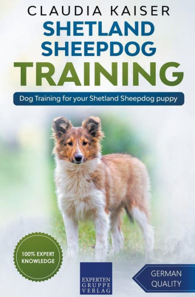Shetland Sheepdog Training - Dog for your puppy
