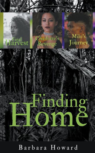 Finding Home Mystery Series
