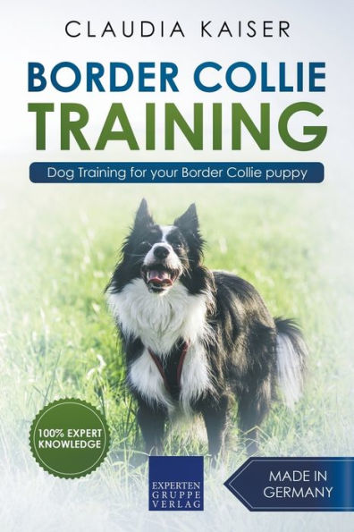 Border Collie Training - Dog for your puppy