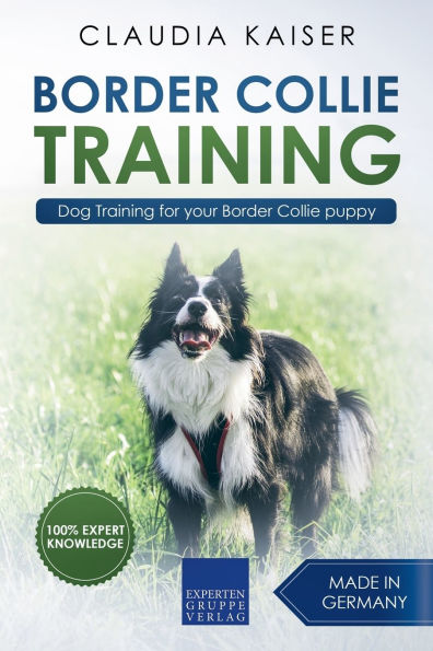 Border Collie Training - Dog for your puppy