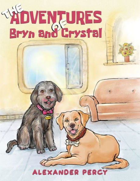 The Adventures of Bryn and Crystal