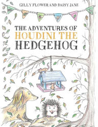 Title: The Adventures of Houdini the Hedgehog, Author: Gilly Flower