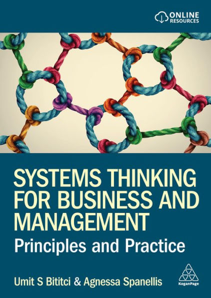 Systems Thinking for Business and Management: Principles Practice