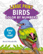 Large Print Color by Numbers Birds: Easy-to-Read