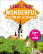 Large Print Wonderful Color by Numbers: Easy to Read