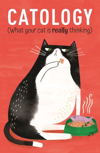 Catology: What Your Cat is Really Thinking