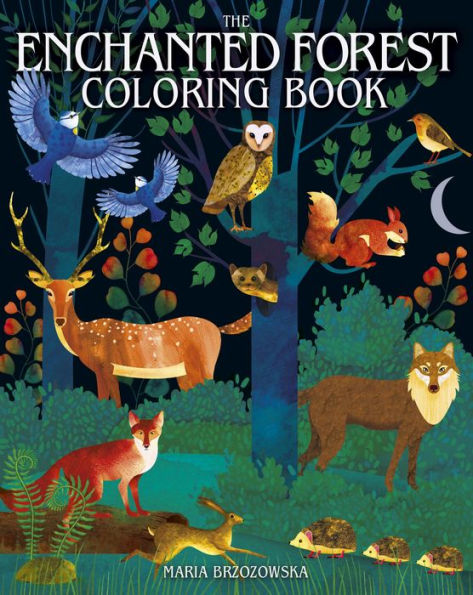 The Enchanted Forest Coloring Book