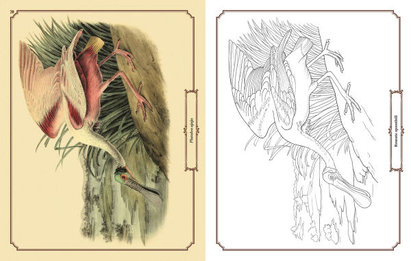 Audubon Birds Coloring Kit: Includes a 64-Page Book, 6 Frameable Coloring Prints and 10 Pencils