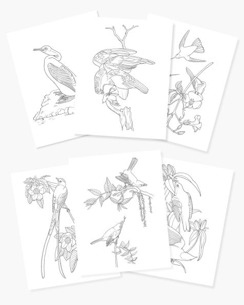 Audubon Birds Coloring Kit: Includes a 64-Page Book, 6 Frameable Coloring Prints and 10 Pencils
