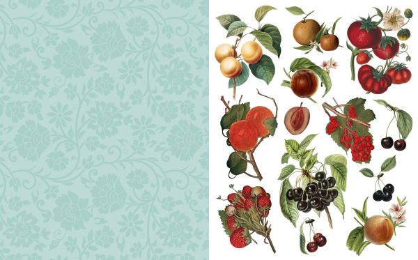 Cut & Collage Botanicals: Over 300 Images For Art, Craft & Scrapbooks