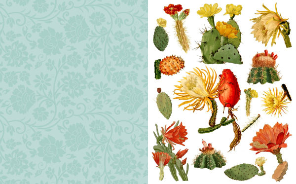 Cut & Collage Botanicals: Over 300 Images For Art, Craft & Scrapbooks