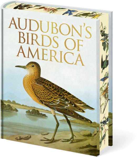 John James Audubon アメリカ鳥類博物画の本 John James Audubon アメリカ鳥類博物画の本