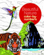 Nature Color by Numbers