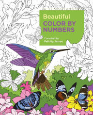 Title: Beautiful Color by Numbers, Author: Felicity James