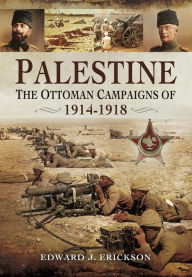 Free pdf ebook download for mobile Palestine: The Ottoman Campaigns of 1914-1918  by Edward J. Erickson, Edward J. Erickson