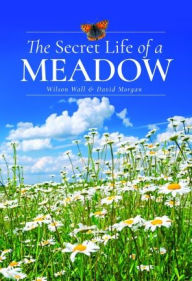 Title: The Secret Life of a Meadow, Author: Wilson Wall
