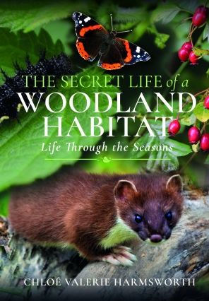 the Secret Life of a Woodland Habitat: Through Seasons
