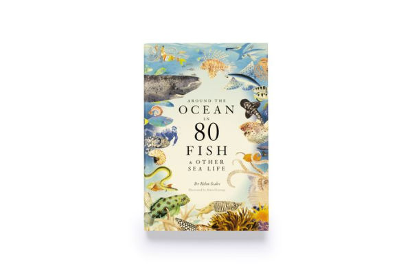 Around the Ocean 80 Fish and other Sea Life