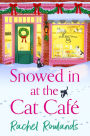 Snowed In at the Cat Cafe
