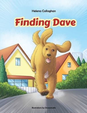 Finding Dave