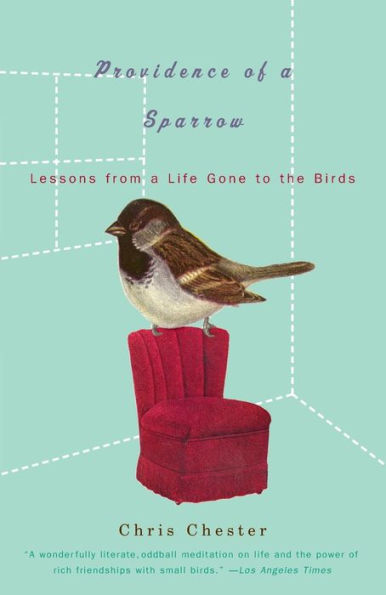 Providence of a Sparrow: Lessons from a Life Gone to the Birds