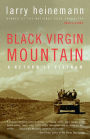 Black Virgin Mountain: A Return to Vietnam