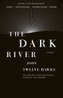 The Dark River (Fourth Realm Trilogy #2)