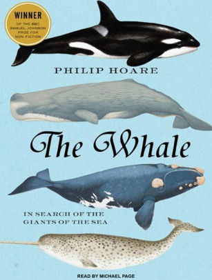 The Whale In Search Of The Giants Of The Sea By Philip