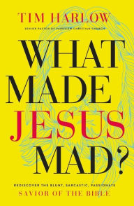 What Made Jesus Mad?: Rediscover the Blunt, Sarcastic, Passionate Savior of the Bible