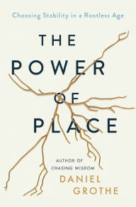 Download free e books for android The Power of Place: Choosing Stability in a Rootless Age in English by 