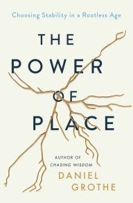 Free books to read online without downloading The Power of Place: Choosing Stability in a Rootless Age by  in English MOBI 9781400212545