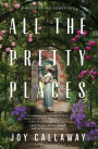 All the Pretty Places: A Novel of the Gilded Age