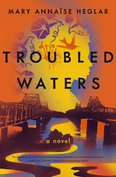 Troubled Waters: A Novel