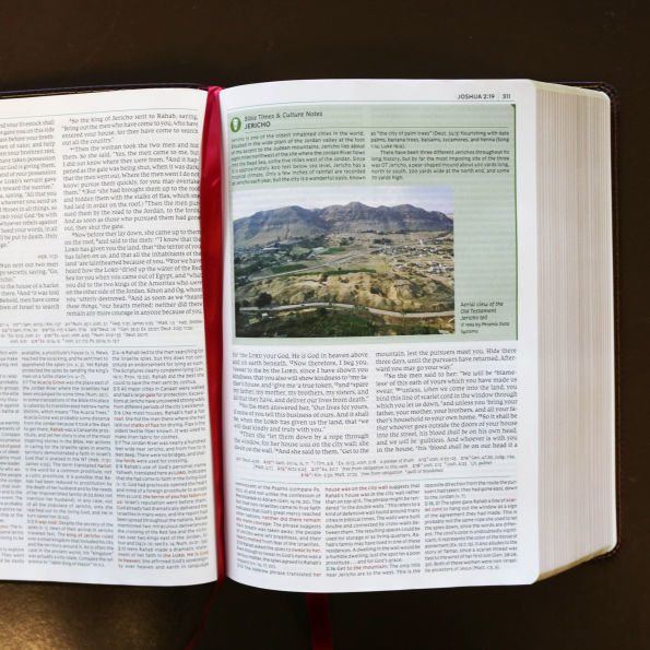 NKJV Study Bible, Leathersoft, Brown, Full-Color, Comfort Print: The Complete Resource for Studying God's Word
