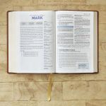 Alternative view 11 of Student Study Bible: A Guide to Knowing and Living God's Word (NKJV, Softcover, Red Letter, Comfort Print)