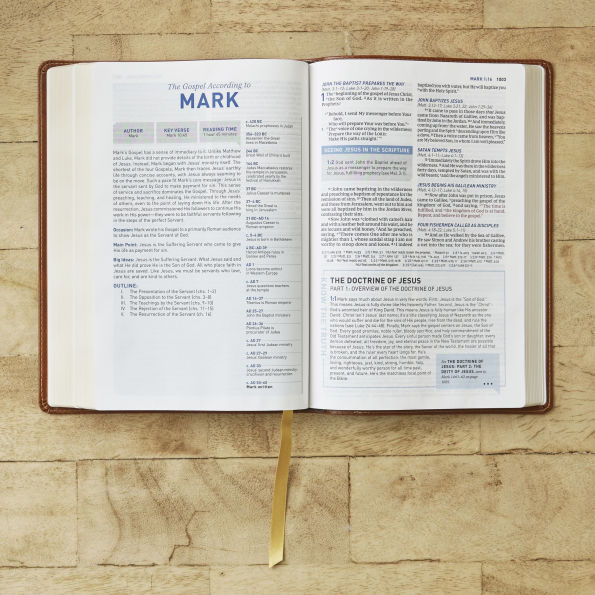 Student Study Bible: A Guide to Knowing and Living God's Word (NKJV, Softcover, Red Letter, Comfort Print)