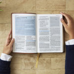 Alternative view 4 of Student Study Bible: A Guide to Knowing and Living God's Word (NKJV, Softcover, Red Letter, Comfort Print)