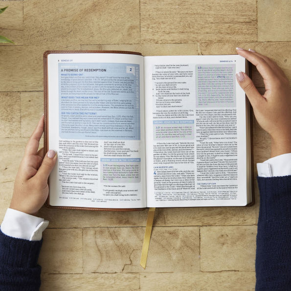 Student Study Bible: A Guide to Knowing and Living God's Word (NKJV, Softcover, Red Letter, Comfort Print)