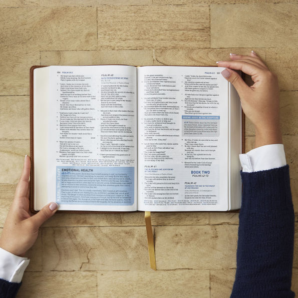 Student Study Bible: A Guide to Knowing and Living God's Word (NKJV, Softcover, Red Letter, Comfort Print)