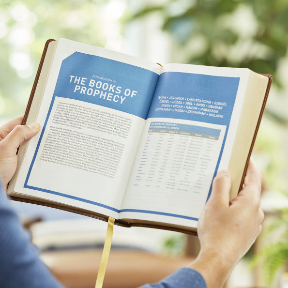 Student Study Bible: A Guide to Knowing and Living God's Word (NKJV, Softcover, Red Letter, Comfort Print)