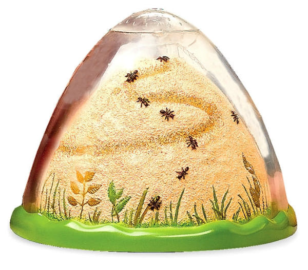 Ant Hill