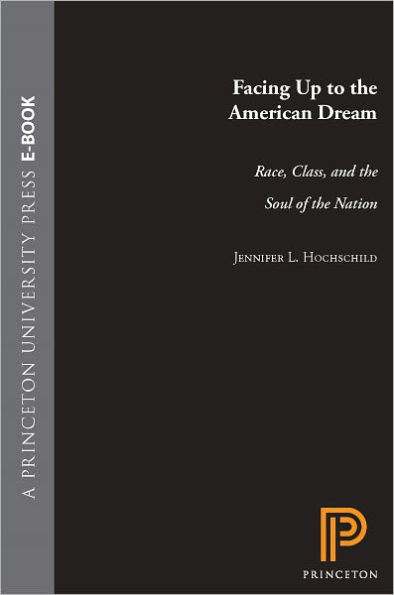 Facing Up to the American Dream: Race, Class, and the Soul of the Nation