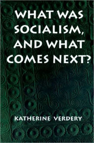 Title: What Was Socialism, and What Comes Next?, Author: Katherine Verdery