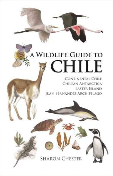 A Wildlife Guide to Chile: Continental Chile, Chilean Antarctica, Easter Island, Juan Fernández Archipelago