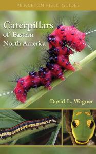 Title: Caterpillars of Eastern North America: A Guide to Identification and Natural History, Author: David Wagner