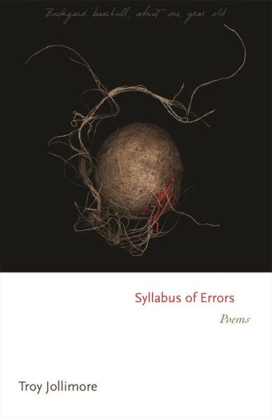 Syllabus of Errors