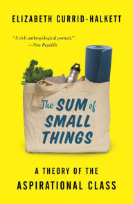 Title: The Sum of Small Things: A Theory of the Aspirational Class, Author: Elizabeth Currid-Halkett