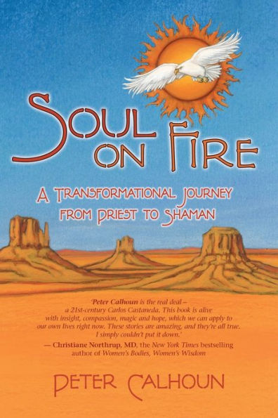 Soul on Fire: A Transformational Journey from Priest to Shaman