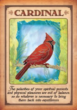 Messages from Your Animal Spirit Guides Oracle Cards: A 44-Card Deck and Guidebook!